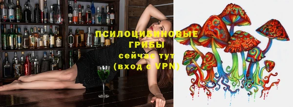 ПСИЛОЦИБИНОВЫЕ ГРИБЫ Алексеевка