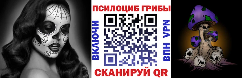 гидра ONION  Тында  Галлюциногенные грибы Psilocybe 